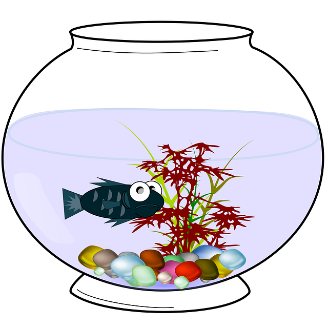 Aquarium Volume Calculator
