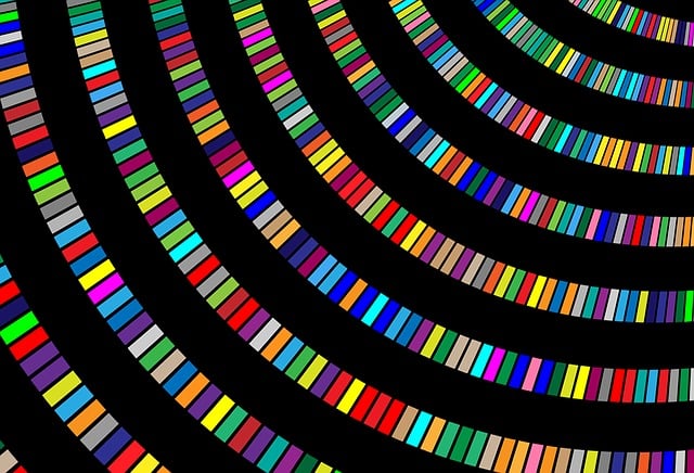 Color Palette Generator Example