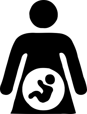 Pregnancy Due Date Calculator